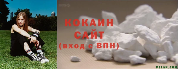 шишки Балахна