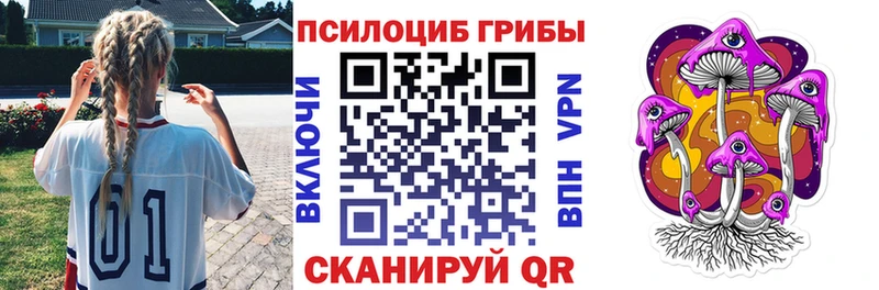 ссылка на мегу ссылка  цены наркотик  Шебекино  Галлюциногенные грибы мицелий 